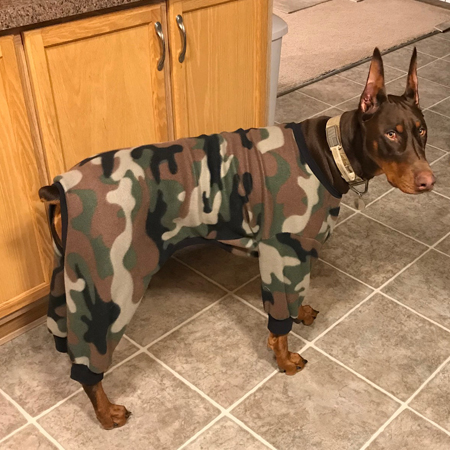 Camo