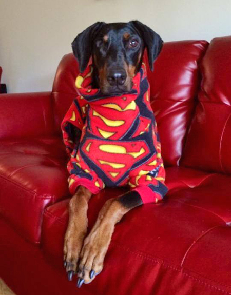 Superman