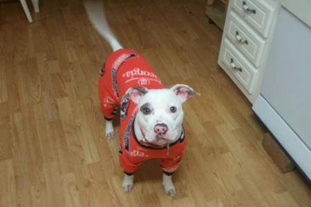 UGA