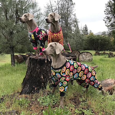 Weims